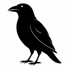 Fototapeta premium Crow isolated on white background, crow vector illustration, bird on a branch vector art, crow silhouette, bird vector icon, peacock on a branch line art, eps, raven on a branch cartoon