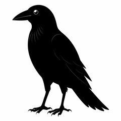 Crow isolated on white background, crow vector illustration, bird on a branch vector art, crow silhouette, bird vector icon, peacock on a branch line art, eps, raven on a branch cartoon