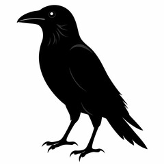 Crow isolated on white background, crow vector illustration, bird on a branch vector art, crow silhouette, bird vector icon, peacock on a branch line art, eps, raven on a branch cartoon