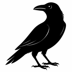 Crow isolated on white background, crow vector illustration, bird on a branch vector art, crow silhouette, bird vector icon, peacock on a branch line art, eps, raven on a branch cartoon