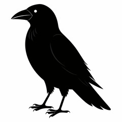 Crow isolated on white background, crow vector illustration, bird on a branch vector art, crow silhouette, bird vector icon, peacock on a branch line art, eps, raven on a branch cartoon