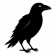 Crow isolated on white background, crow vector illustration, bird on a branch vector art, crow silhouette, bird vector icon, peacock on a branch line art, eps, raven on a branch cartoon