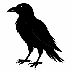 Crow isolated on white background, crow vector illustration, bird on a branch vector art, crow silhouette, bird vector icon, peacock on a branch line art, eps, raven on a branch cartoon
