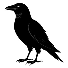 Crow isolated on white background, crow vector illustration, bird on a branch vector art, crow silhouette, bird vector icon, peacock on a branch line art, eps, raven on a branch cartoon