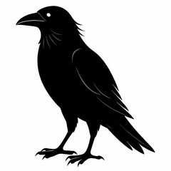 Crow isolated on white background, crow vector illustration, bird on a branch vector art, crow silhouette, bird vector icon, peacock on a branch line art, eps, raven on a branch cartoon