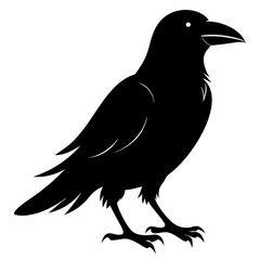Crow isolated on white background, crow vector illustration, bird on a branch vector art, crow silhouette, bird vector icon, peacock on a branch line art, eps, raven on a branch cartoon