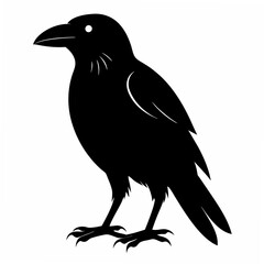 Crow isolated on white background, crow vector illustration, bird on a branch vector art, crow silhouette, bird vector icon, peacock on a branch line art, eps, raven on a branch cartoon
