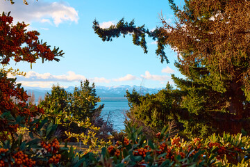 Evening sky over lake and trees
