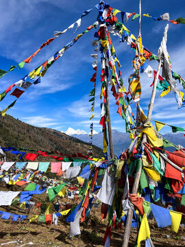 Multi coloured Prayer flags at Chele La Mountain Pass, Jigme Dorji National Park, Bhutan
