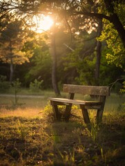 Naklejka premium Tranquil Sunset Bench in Nature: Serene Outdoor Escape