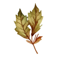 Watercolor painting of two brown leaves on a stem.