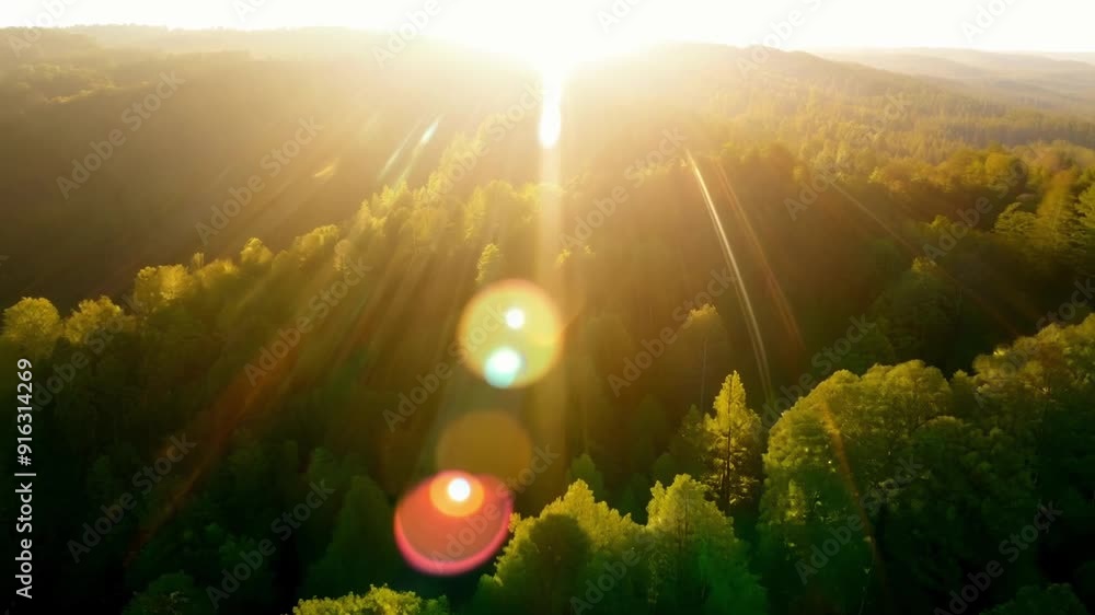 Poster a natural wonderland captured from above with the suns rays filtering through the branches and creat