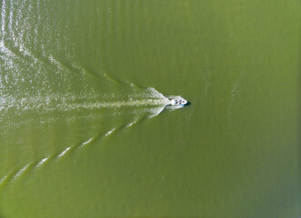 A boat is traveling through a green body of water