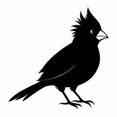 Cardinal head isolated on white background, Cardinal vector illustration, bird on a branch vector art, Cardinal silhouette, bird vector icon, bird on a branch line art, eps, Animal cartoon