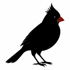 Cardinal head isolated on white background, Cardinal vector illustration, bird on a branch vector art, Cardinal silhouette, bird vector icon, bird on a branch line art, eps, Animal cartoon