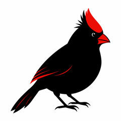 Cardinal head isolated on white background, Cardinal vector illustration, bird on a branch vector art, Cardinal silhouette, bird vector icon, bird on a branch line art, eps, Animal cartoon