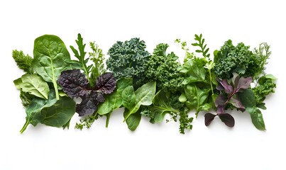 Obraz premium Green and Purple Leafy Vegetables on White Background - Illustration