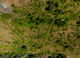 A large field with a dirt road in the middle © Anton
