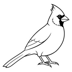 Cardinal head isolated on white background, Cardinal vector illustration, bird on a branch vector art, Cardinal silhouette, bird vector icon, bird on a branch line art, eps, Animal cartoon