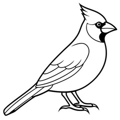 Cardinal head isolated on white background, Cardinal vector illustration, bird on a branch vector art, Cardinal silhouette, bird vector icon, bird on a branch line art, eps, Animal cartoon