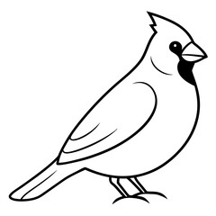 Cardinal head isolated on white background, Cardinal vector illustration, bird on a branch vector art, Cardinal silhouette, bird vector icon, bird on a branch line art, eps, Animal cartoon