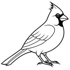Cardinal head isolated on white background, Cardinal vector illustration, bird on a branch vector art, Cardinal silhouette, bird vector icon, bird on a branch line art, eps, Animal cartoon