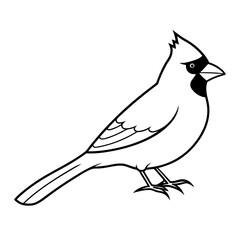 Cardinal head isolated on white background, Cardinal vector illustration, bird on a branch vector art, Cardinal silhouette, bird vector icon, bird on a branch line art, eps, Animal cartoon