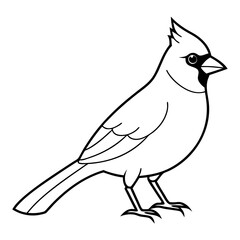 Cardinal head isolated on white background, Cardinal vector illustration, bird on a branch vector art, Cardinal silhouette, bird vector icon, bird on a branch line art, eps, Animal cartoon