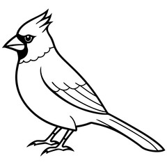 Obraz premium Cardinal head isolated on white background, Cardinal vector illustration, bird on a branch vector art, Cardinal silhouette, bird vector icon, bird on a branch line art, eps, Animal cartoon