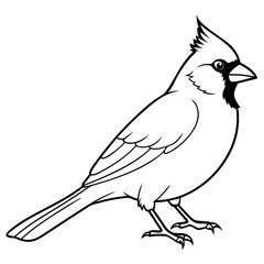 Cardinal head isolated on white background, Cardinal vector illustration, bird on a branch vector art, Cardinal silhouette, bird vector icon, bird on a branch line art, eps, Animal cartoon