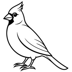 Cardinal head isolated on white background, Cardinal vector illustration, bird on a branch vector art, Cardinal silhouette, bird vector icon, bird on a branch line art, eps, Animal cartoon