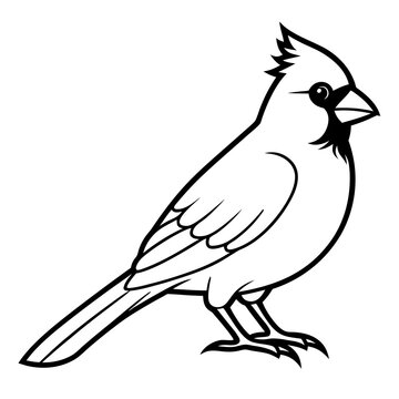 recommend clip art: Cardinal head isolated on white background, Cardinal vector illustration, bird on a branch vector art, Cardinal silhouette, bird vector icon, bird on a branch line art, eps, Animal cartoon