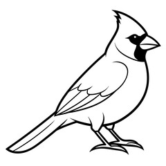 Cardinal head isolated on white background, Cardinal vector illustration, bird on a branch vector art, Cardinal silhouette, bird vector icon, bird on a branch line art, eps, Animal cartoon