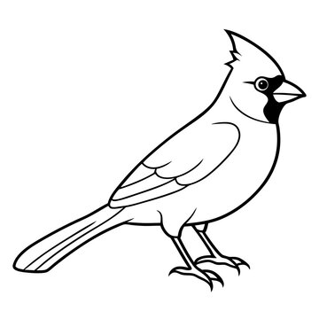 recommend clip art: Cardinal head isolated on white background, Cardinal vector illustration, bird on a branch vector art, Cardinal silhouette, bird vector icon, bird on a branch line art, eps, Animal cartoon