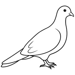 Dove of peace isolated on white background, dove vector illustration, bird on a branch vector art, dove silhouette, bird vector icon, bird on a branch line art, eps, dove on a branch cartoon