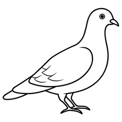 Dove of peace isolated on white background, dove vector illustration, bird on a branch vector art, dove silhouette, bird vector icon, bird on a branch line art, eps, dove on a branch cartoon