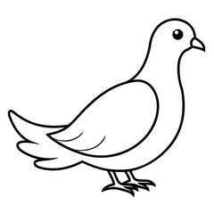 Dove of peace isolated on white background, dove vector illustration, bird on a branch vector art, dove silhouette, bird vector icon, bird on a branch line art, eps, dove on a branch cartoon