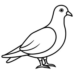 Dove of peace isolated on white background, dove vector illustration, bird on a branch vector art, dove silhouette, bird vector icon, bird on a branch line art, eps, dove on a branch cartoon