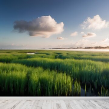landscape with marah