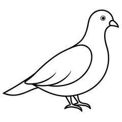 Dove of peace isolated on white background, dove vector illustration, bird on a branch vector art, dove silhouette, bird vector icon, bird on a branch line art, eps, dove on a branch cartoon