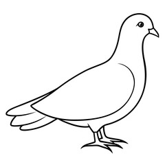 Dove of peace isolated on white background, dove vector illustration, bird on a branch vector art, dove silhouette, bird vector icon, bird on a branch line art, eps, dove on a branch cartoon