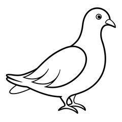 Dove of peace isolated on white background, dove vector illustration, bird on a branch vector art, dove silhouette, bird vector icon, bird on a branch line art, eps, dove on a branch cartoon