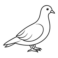 Dove of peace isolated on white background, dove vector illustration, bird on a branch vector art, dove silhouette, bird vector icon, bird on a branch line art, eps, dove on a branch cartoon