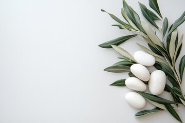 Obraz premium White Stones and Olive Branch on a White Background