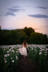 Girl in a field of poppies