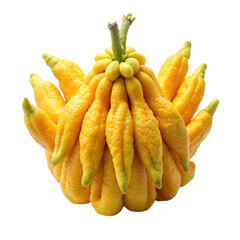 Buddha s hand fruit Isolated On Transparent Background