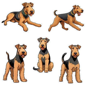 Collection set of airedale terrier dog clip art illustration graphic cartoon elements