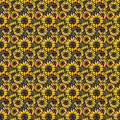 sunflower seamless floral pattern print, bouquets, flower compositions