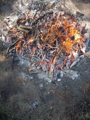 burning wood burning in the fire