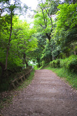 Obraz premium 田舎の風景